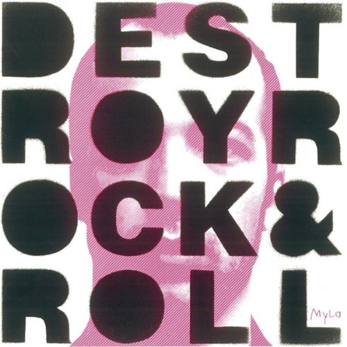 Destroy Rock 'n' Roll - Vintage Punk Rock T-Shirt | Classic Music Band Tee for Men & Women | Perfect for Concerts, Festivals & Casual Wear