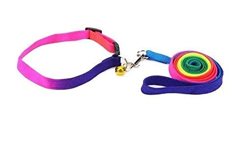 Rainbow Nylon Dog Collar & Leash Set for Puppies - Outdoor Walking