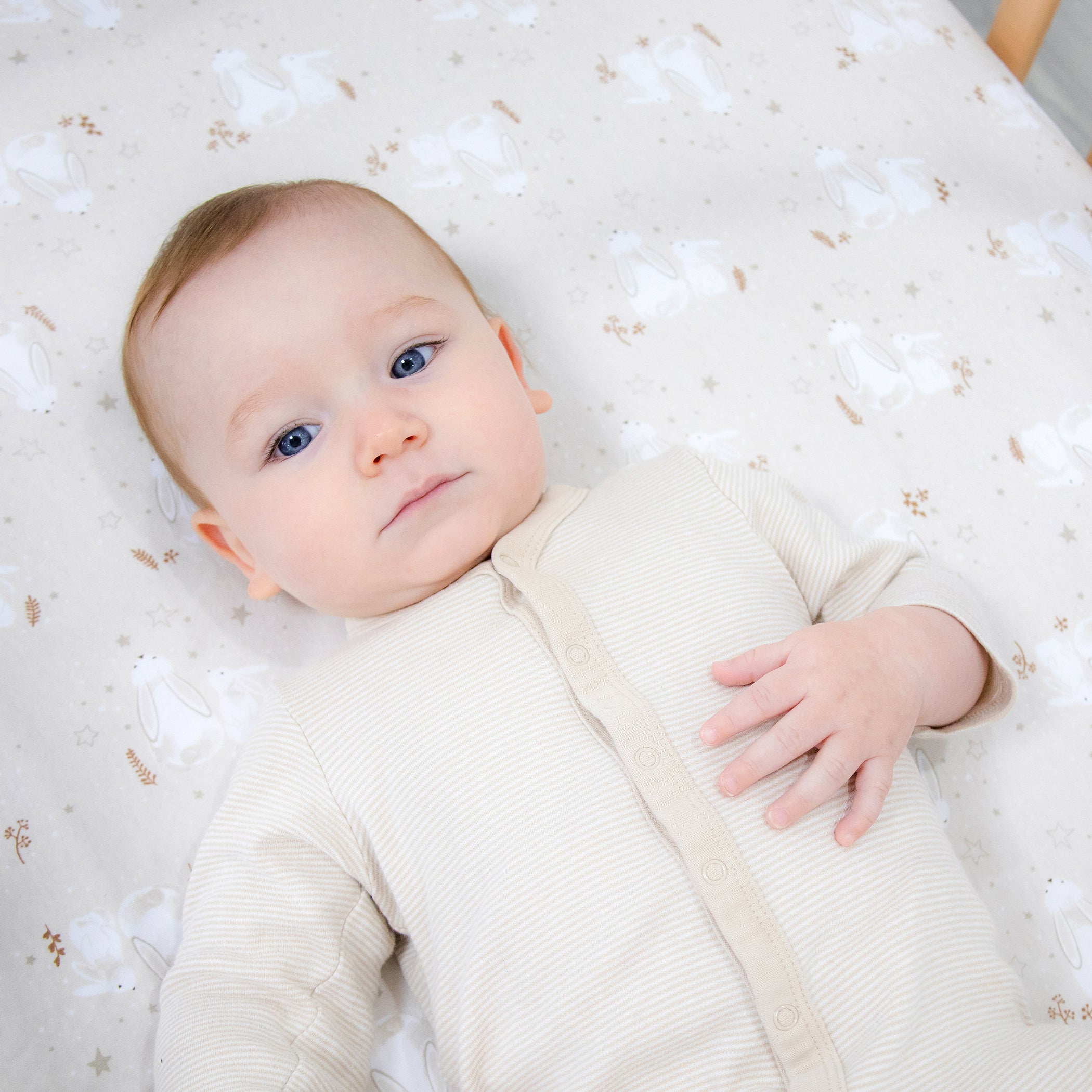 Bunny Dreams Jersey Cot Fitted Sheet - Soft Baby Crib Sheet for Nursery, Daycare & Travel - Perfect for Toddlers & Infants