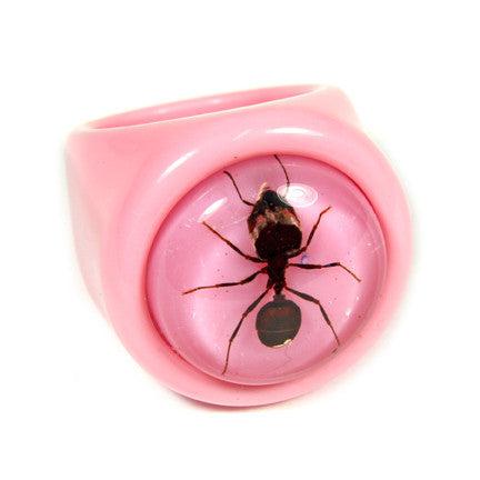 Ant Ring - Unique Insect Jewelry for Women & Men - Perfect for Nature Lovers, Outdoor Adventures & Fashion Statements