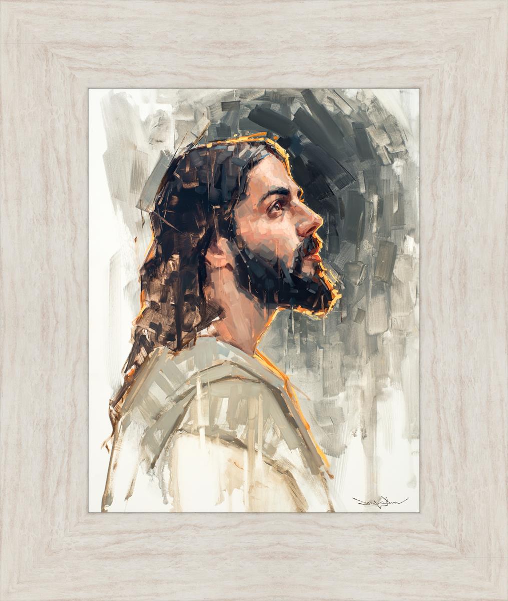 Dan Wilson's Mercys Light - Inspirational Christian Book for Faith & Spiritual Growth - Perfect for Bible Study, Church Groups & Personal Devotion