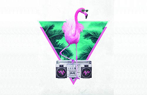 Miami Flamingo