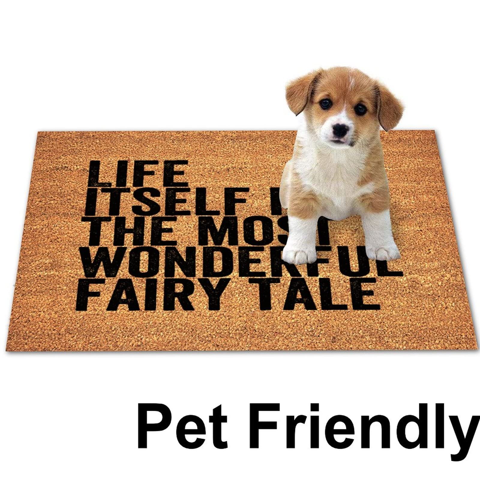 16x24in Natural Coconut Coir Door Mat - Weather Resistant Welcome Mat for Porch, Patio & Front Door - Farmhouse Style Housewarming Gift - Perfect for Apartments, Entrances & Outdoor Use