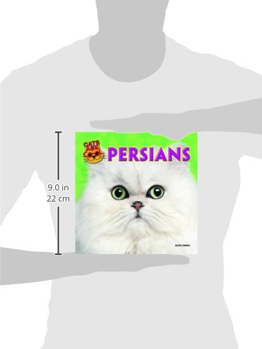 Persian Cat Breeds: Characteristics, Care Tips & Best Supplies | Perfect for Home Companionship & Cat Lovers