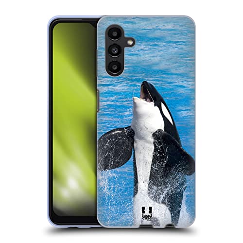 Jumping Killer Whale
