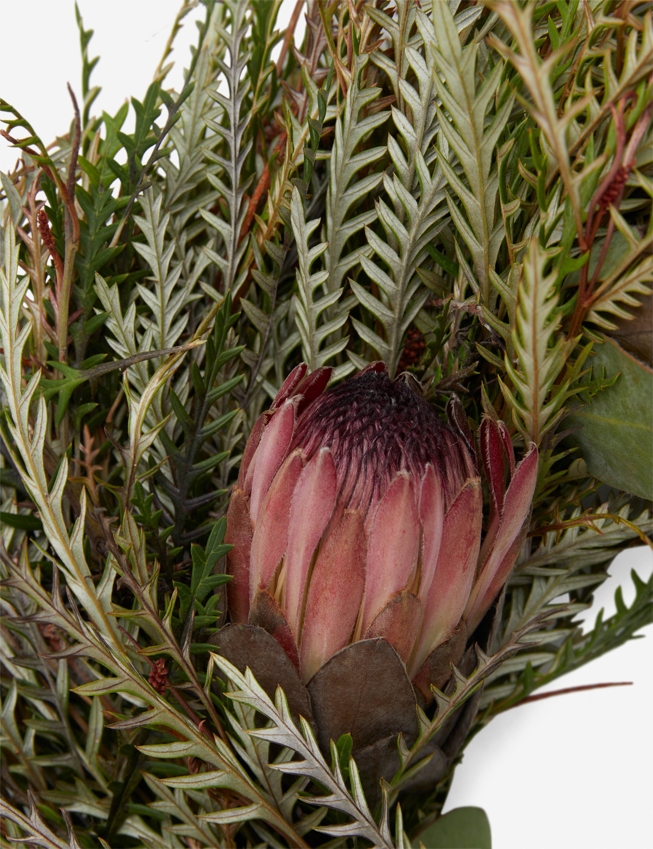 Handmade Fresh Grevillea and Pink Ice Protea Floral Wreath - Perfect for Front Door Decor, Wedding Centerpieces & Seasonal Home Decoration
