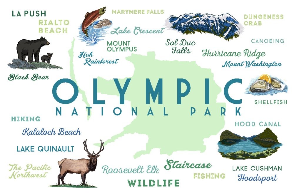 Olympic National Park Washington Wall Art - 24x36 Signed Print Master Art Poster with Typography & Icons | Nature Decor for Living Room, Office & Cabin