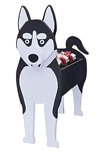 Siberian Husky