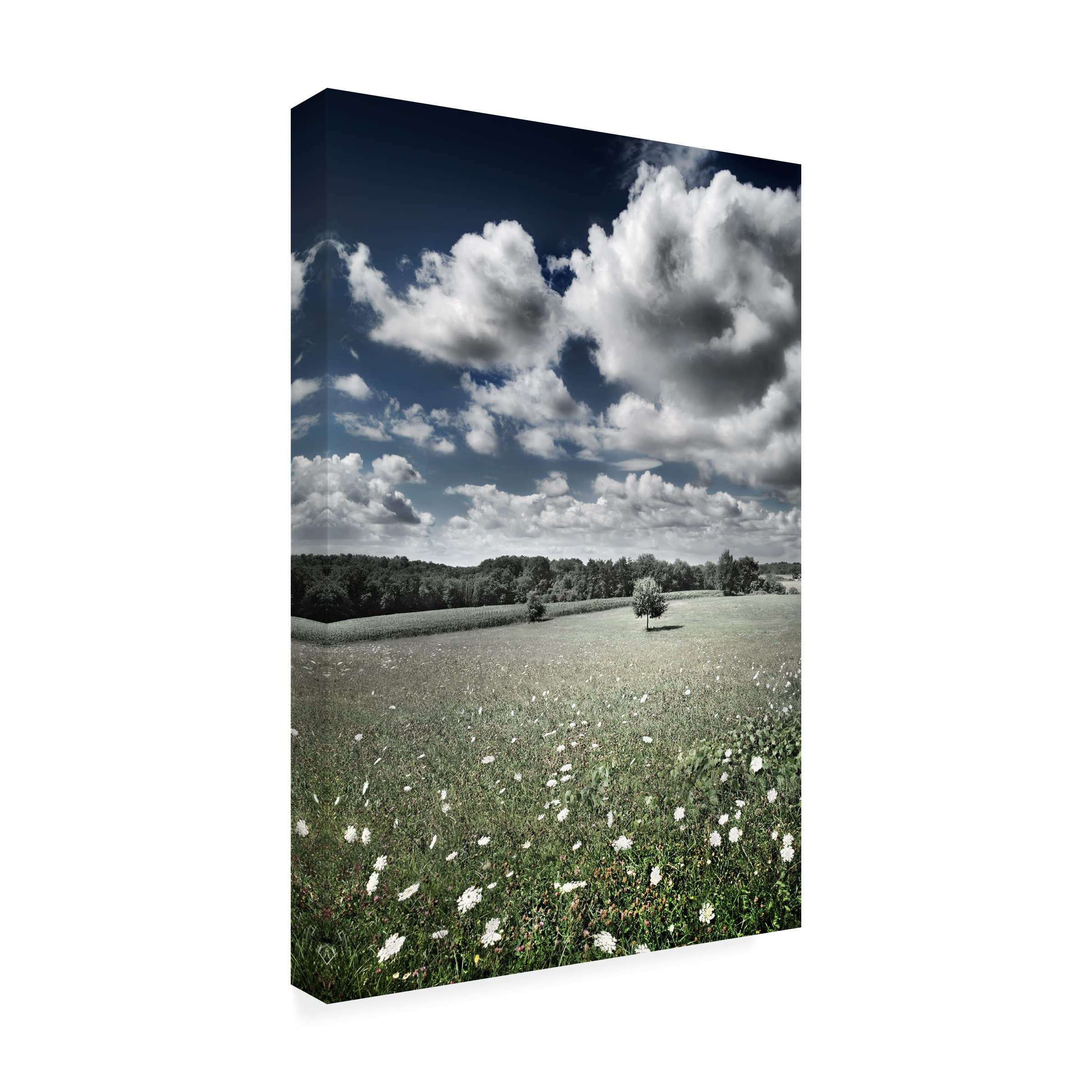 Ben Heine 'Meadow' Canvas Wall Art Print - Modern Landscape Painting for Living Room, Bedroom & Office Decor | Trademark Fine Art Collection