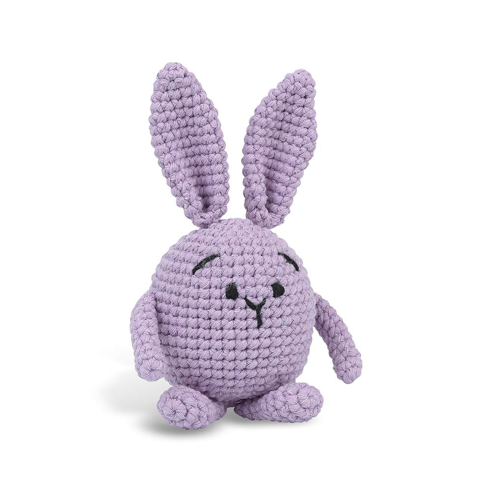 Amigurumi Crochet Kit for Beginners - DIY Pete the Rabbit Plush Toy with Yarn, Hook & Instructions | Perfect Gift for Kids, Home Decor, Nursery