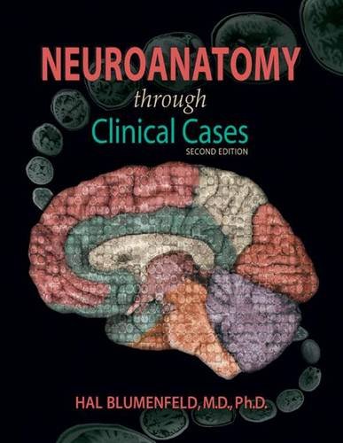 Neuroanatomy Through Clinical Cases 2nd Edition - Medical Textbook for Neurology Students & Professionals | Ideal for Study, Research & Clinical Practice