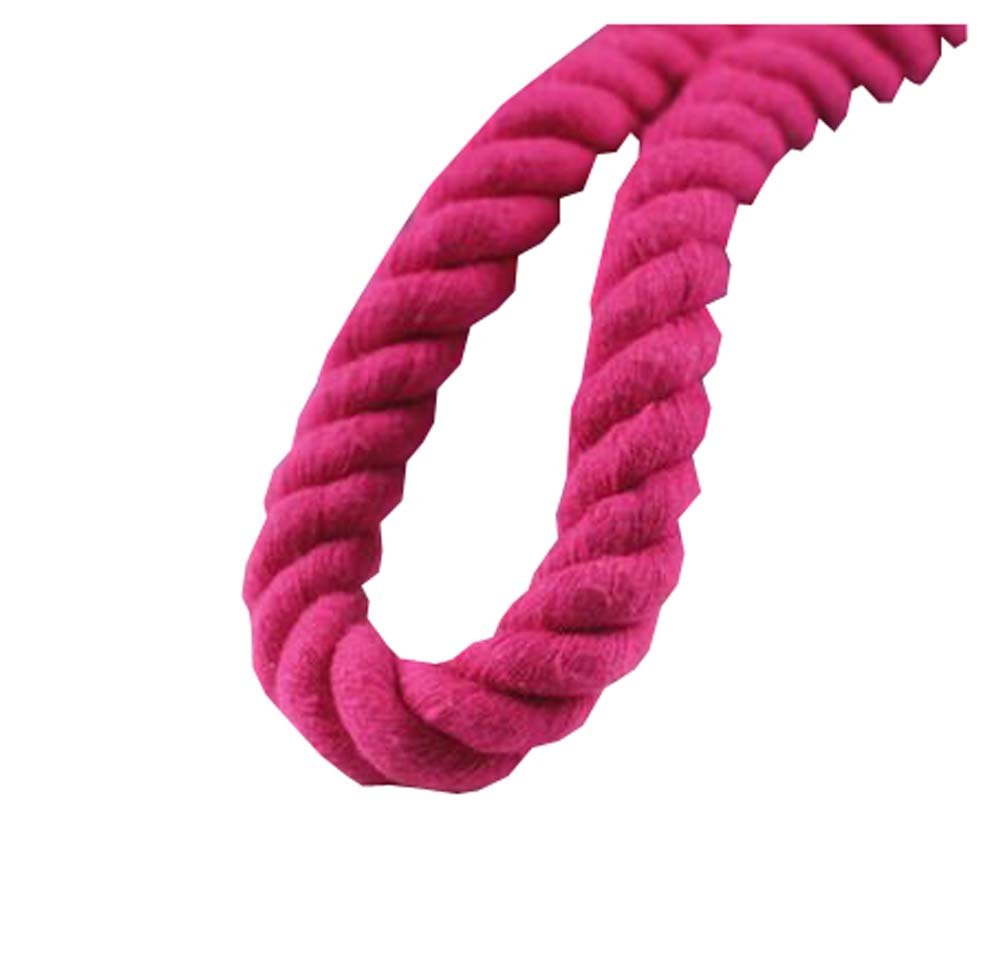 Natural Twisted Jute Rope (65ft/20M) - Eco-Friendly Decor Rope for DIY Crafts, Pet Toys, Home & Garden Decoration - Perfect for Macrame, Wall Hangings, and Outdoor Projects