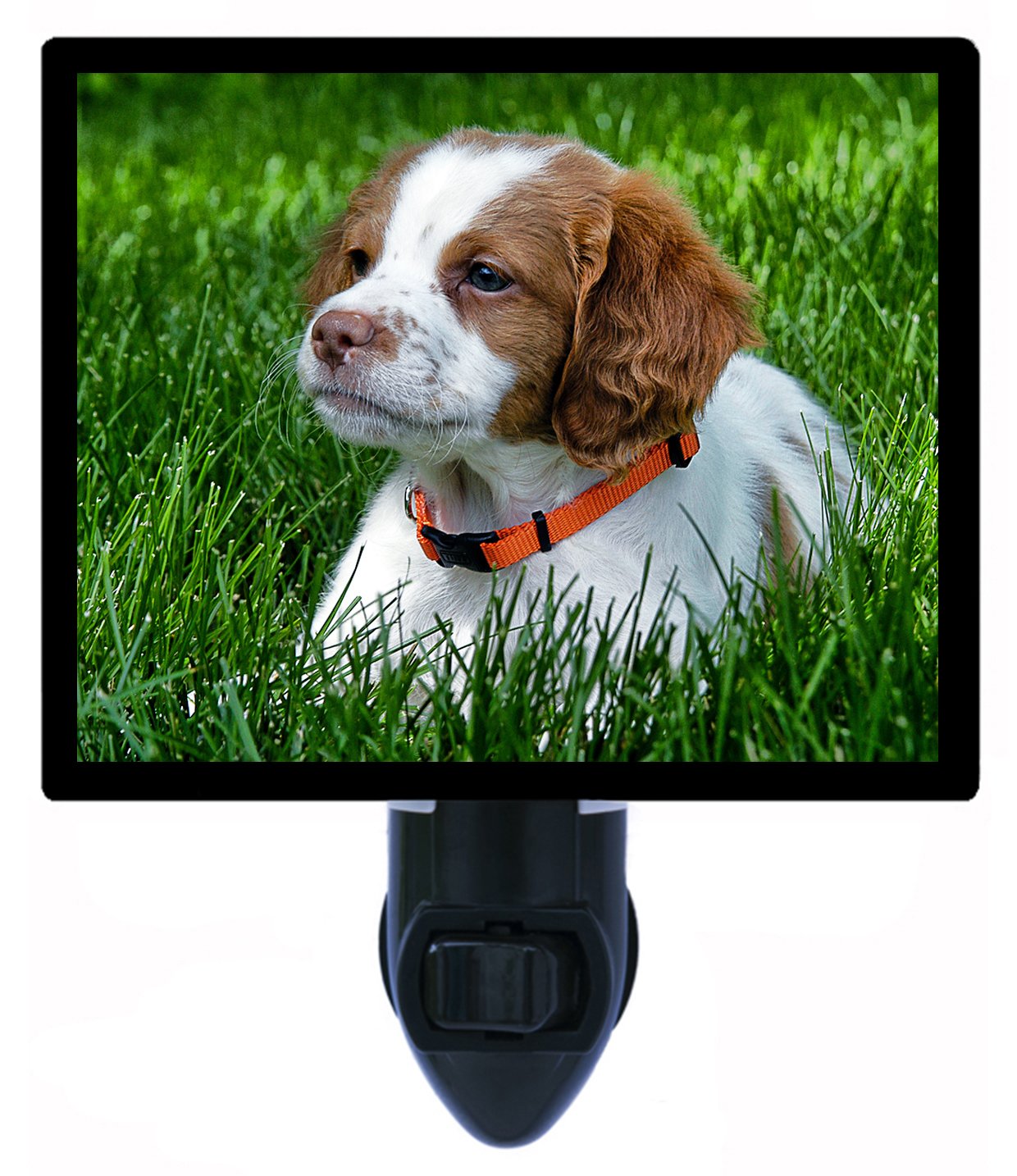 Brittany Puppy LED Night Light for Dogs - Soft Glow Pet Nightlight for Bedroom, Nursery & Safe Nighttime Navigation