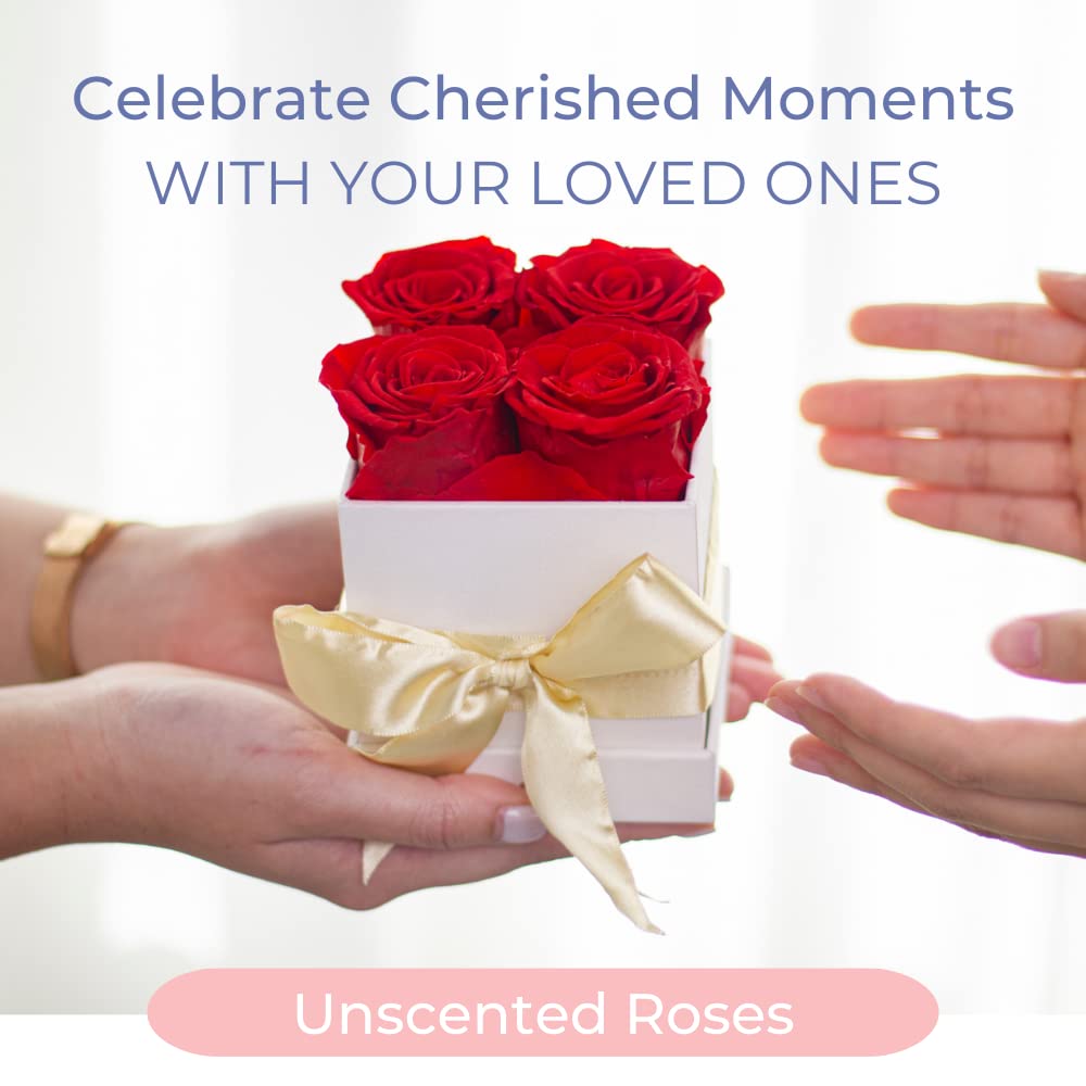 AROMEO Premium Preserved Red Roses Gift Set - Long Lasting Fresh Flowers for Valentine's Day, Mother's Day & Anniversary - Perfect for Romantic Surprises, Home Decor & Special Occasions