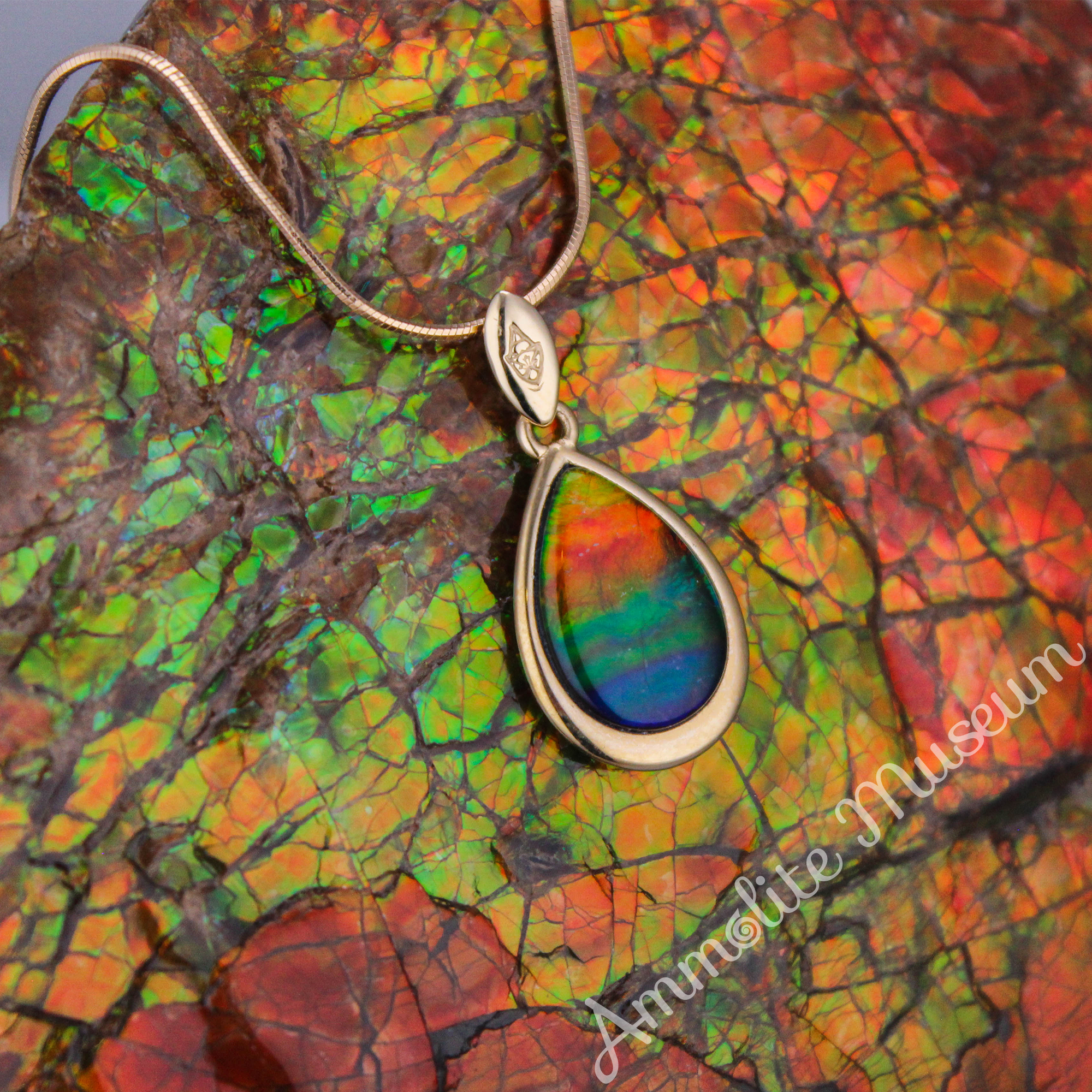 14K Gold Teardrop Ammolite Pendant Necklace - Natural Gemstone Jewelry for Women - Elegant Gift for Birthday, Anniversary & Special Occasions