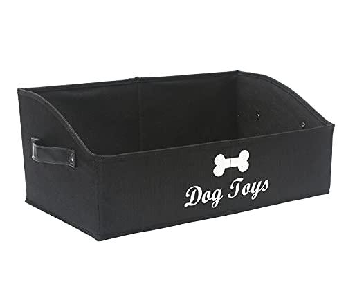 Dog Black