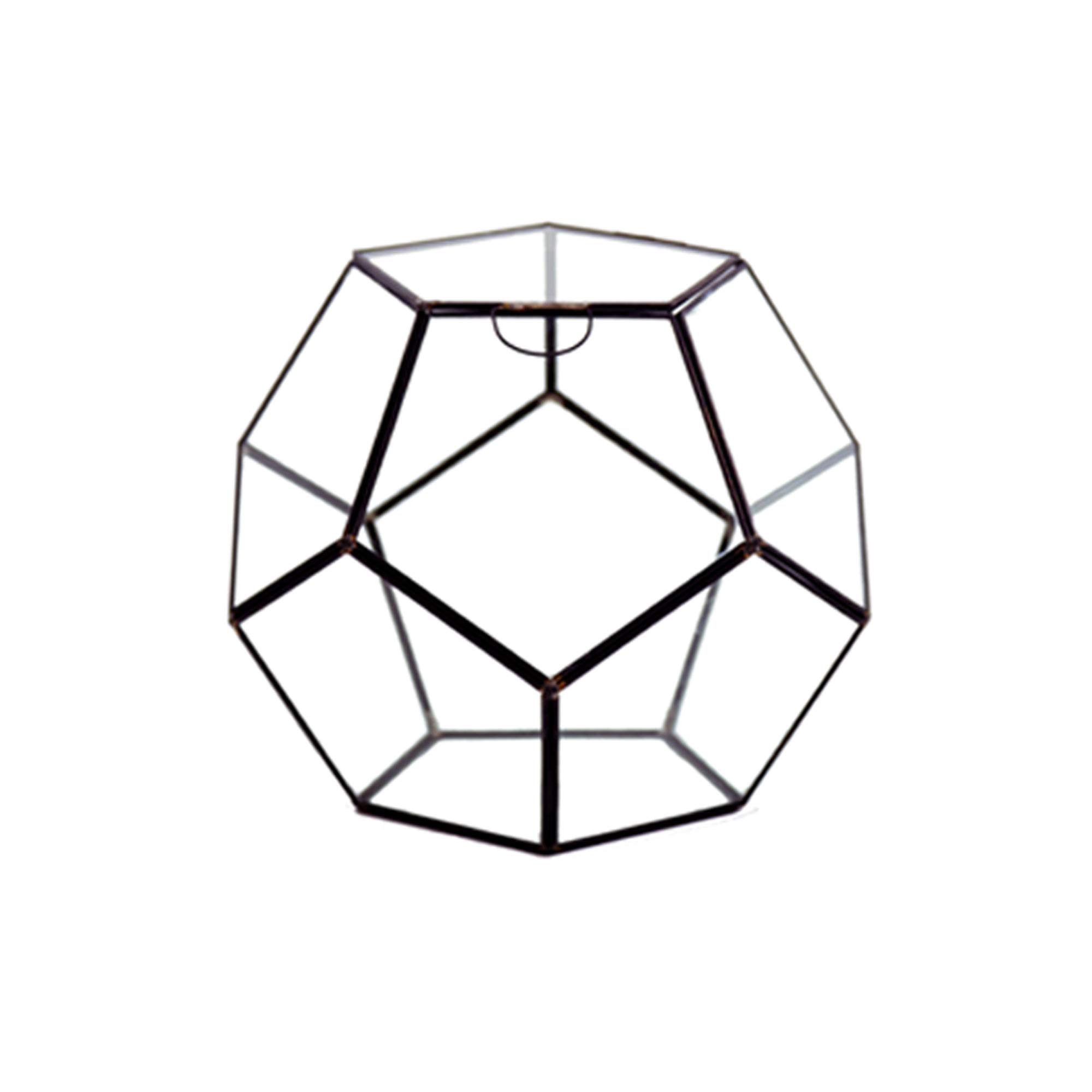 WGV 8.7 Inch Geometric Glass Terrarium Planter with Black Frame - Clear Succulent & Air Plant Display for DIY Fairy Garden, Windowsill or Tabletop Decor - Perfect for Home, Office & Gift Giving (1 Piece)