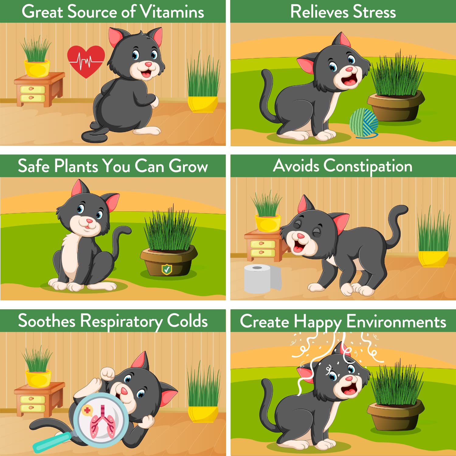 **Organic HOME GROWN Cat Grass Seeds for Indoor Cats - Bulk Heirloom Cat Grass Seed Refill Kit (4-Pack) - Perfect for Cat Litter Box, Scratching Post & Play Areas**