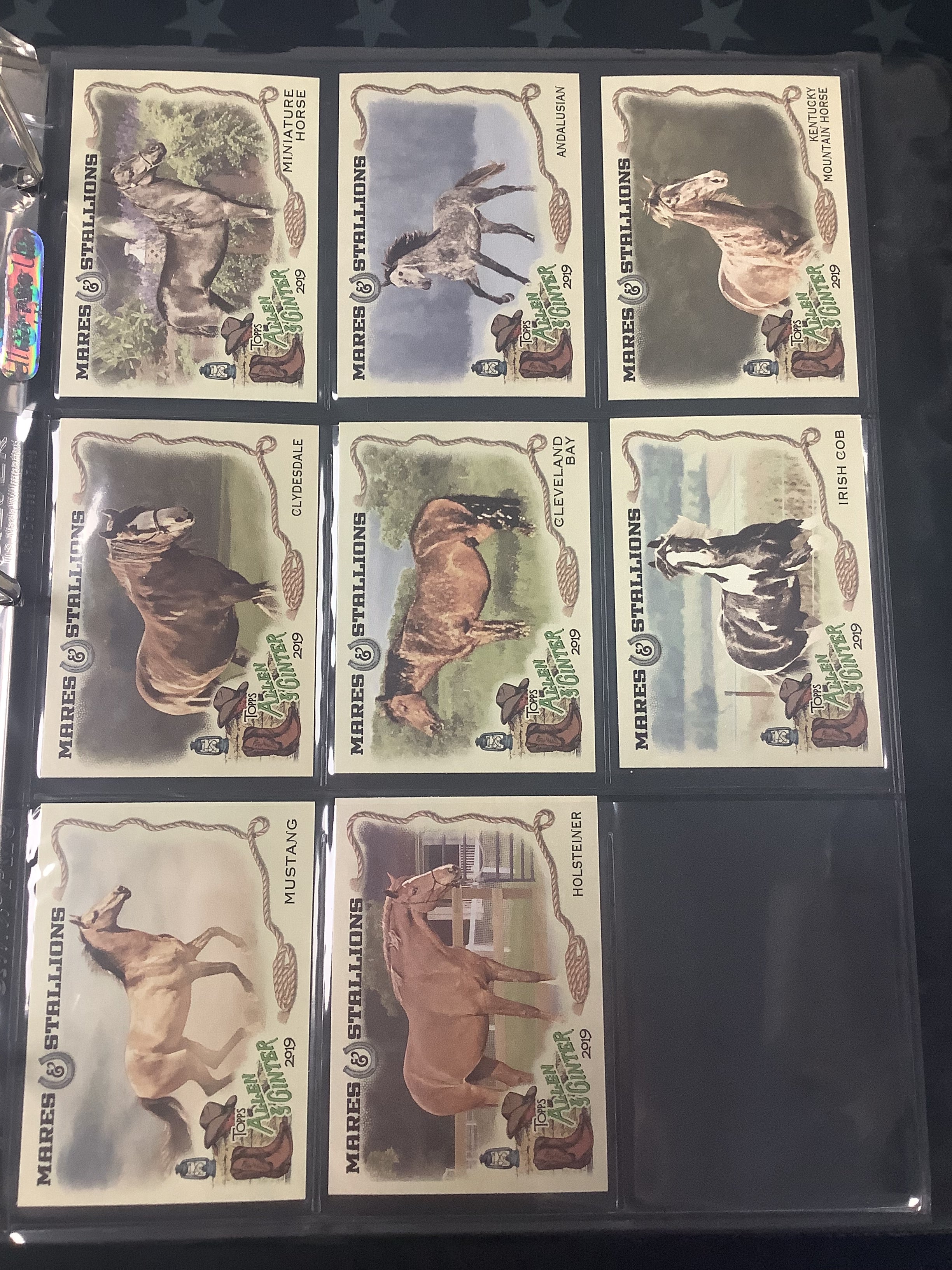 2019 Topps Allen & Ginter Complete Baseball Card Set #1-400 with 5 Insert Sets - Perfect for Collectors, Trading & Display