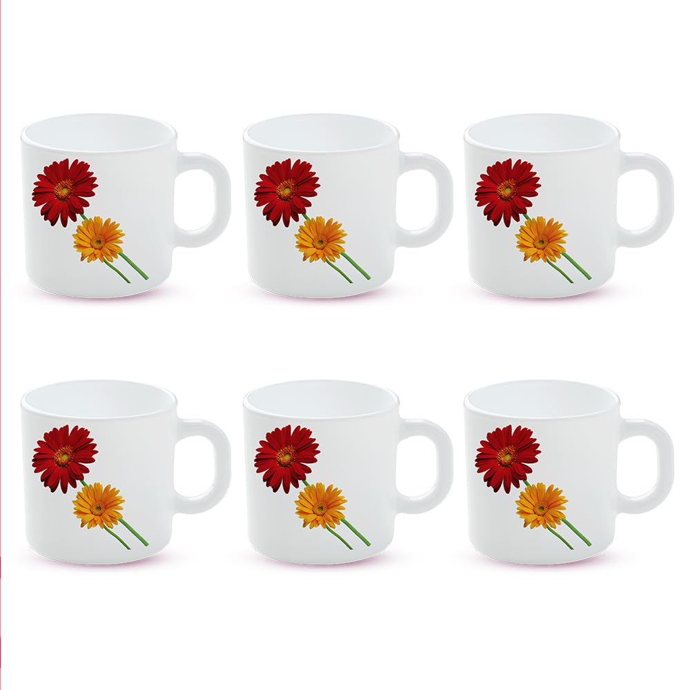 BOROSIL Zinnia Opalware Tea & Coffee Mugs Set of 6 (100ml Each) - Microwave & Dishwasher Safe, Bone-Ash Free - Elegant White Crockery for Daily Use, Gifts, Home, Office & Restaurants