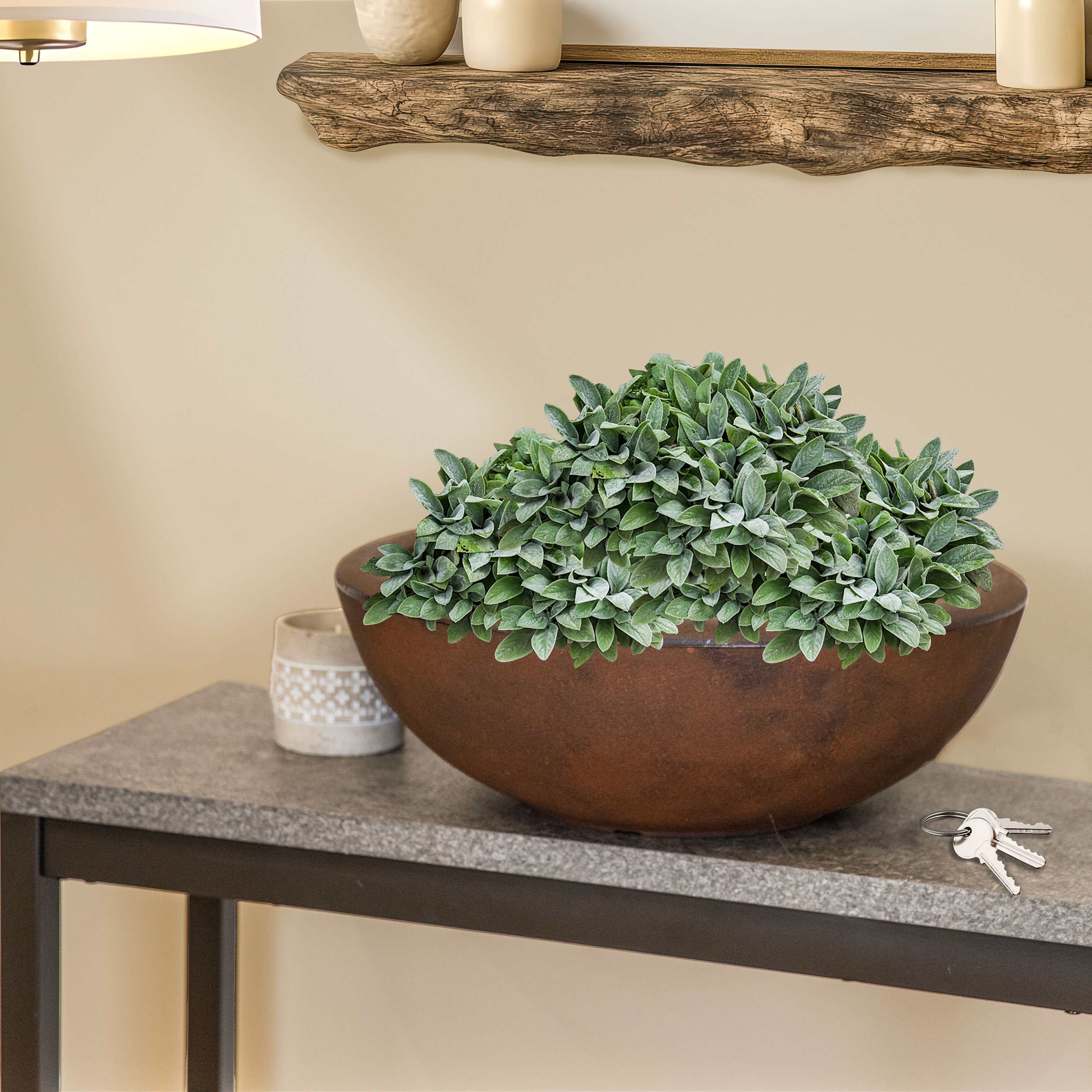 20.75 Inch Sunnydaze Percival Polyresin Outdoor Planter Bowl - Durable Garden Decor for Patio, Porch & Backyard Landscaping
