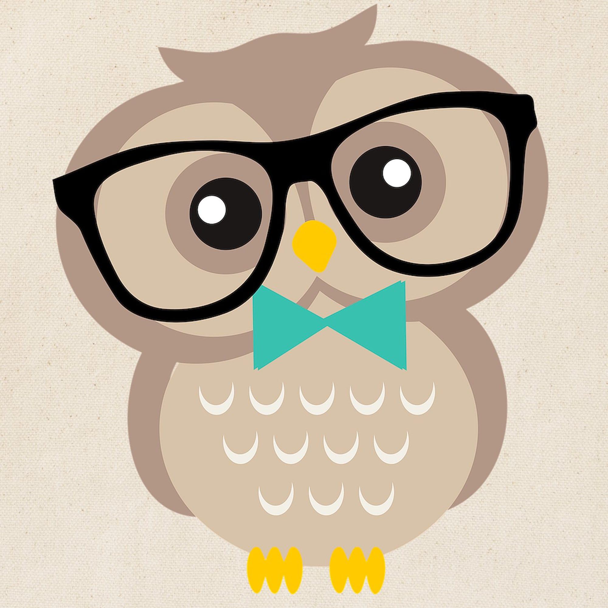 Stylish Hipster Owl Canvas Tote Bag - Eco-Friendly Reusable Shopping Bag for Women & Men | Perfect for Groceries, Beach, Work & School