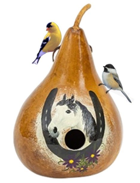 Amish Hand-Painted Gourd Birdhouse with Horse & Horseshoe Design - Rustic Outdoor Garden Decor for Backyard, Patio & Farmhouse Style