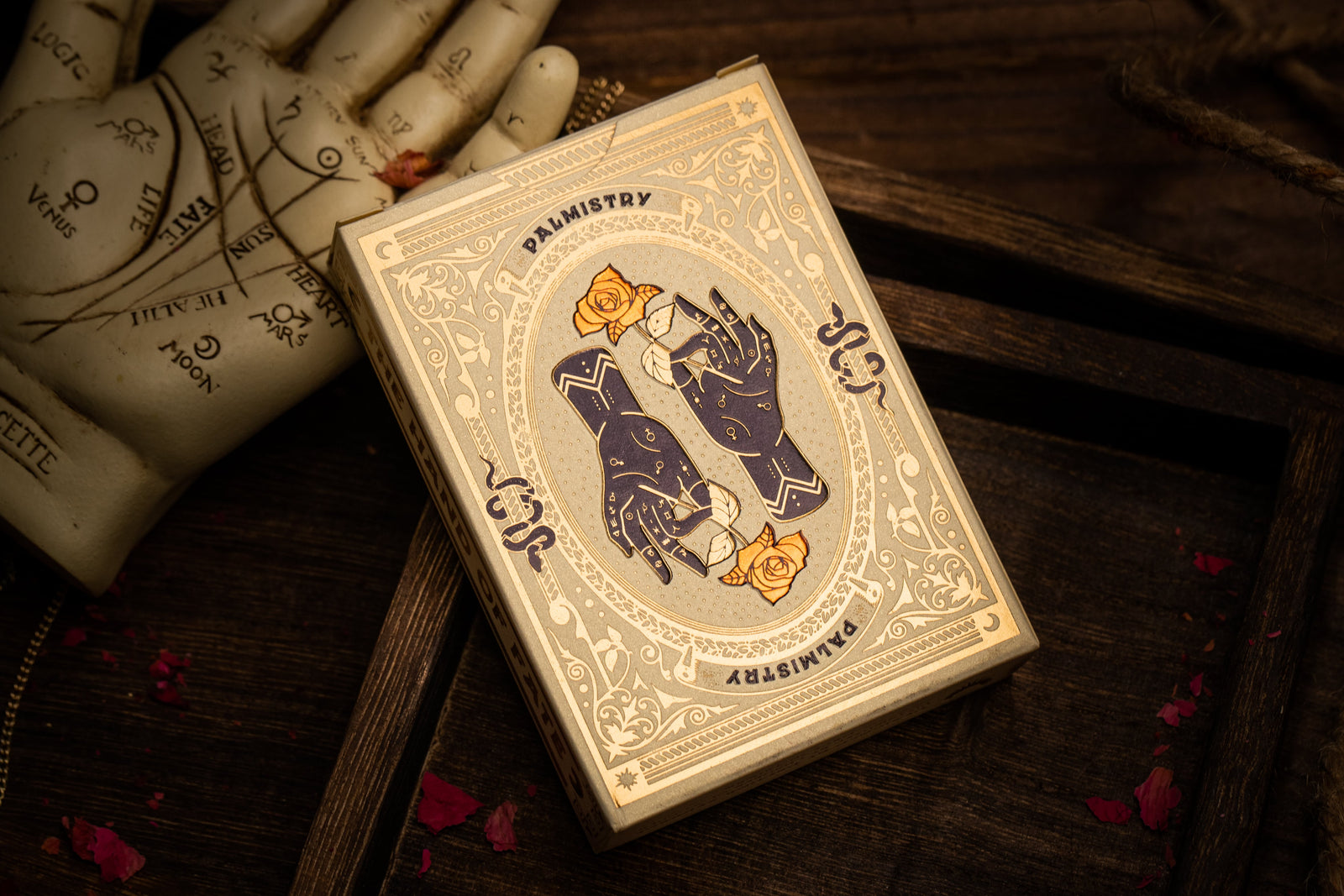 Palmistry Playing Cards - Divination & Fortune Telling Deck for Beginners & Professionals | Perfect for Tarot Readings, Psychic Practice & Party Games