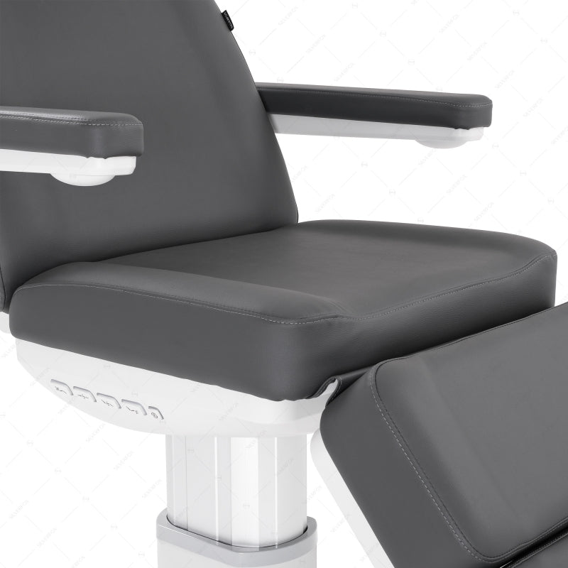 SilverFox 4 Motors Electric Facial Spa Bed 2222BN GRY - Professional Massage Table for Spa & Salon, Reclining Beauty Bed with Adjustable Height - Perfect for Facial Treatments, Massage Therapy, and Skin Care Procedures