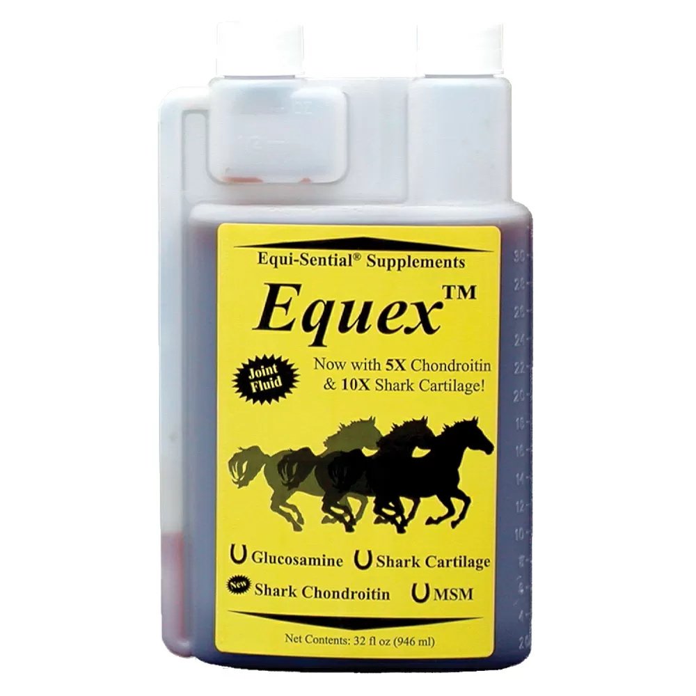 Essential Equex™ Quart - Premium Quality for Home, Office & Travel Use | Perfect for Everyday Hydration & Outdoor Adventures