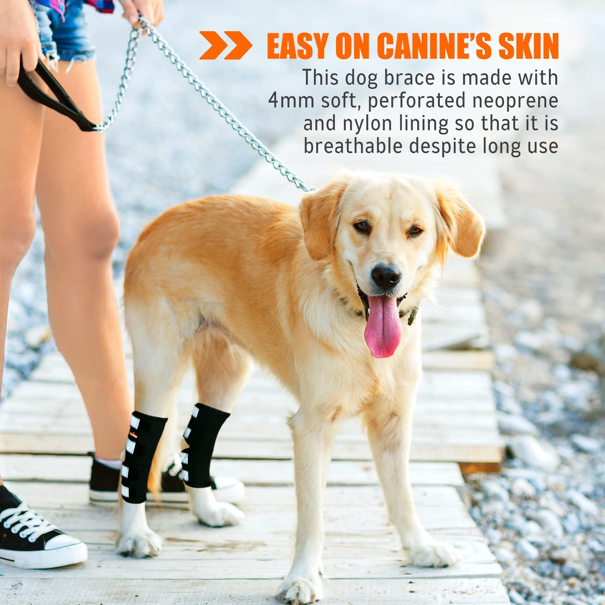 NeoAlly® Dog Rear Leg Hock Brace - Large Size Support for ACL, CCL Injuries & Ankle Stability - 1 Pair for Big Dogs - Perfect for Post-Surgery Recovery & Active Pets