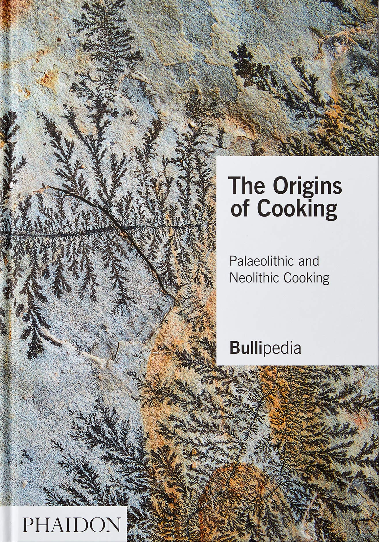 Ancient Cooking Techniques: Exploring Palaeolithic and Neolithic Food Preparation Methods | Primitive Cooking History & Survival Skills for Outdoor Enthusiasts