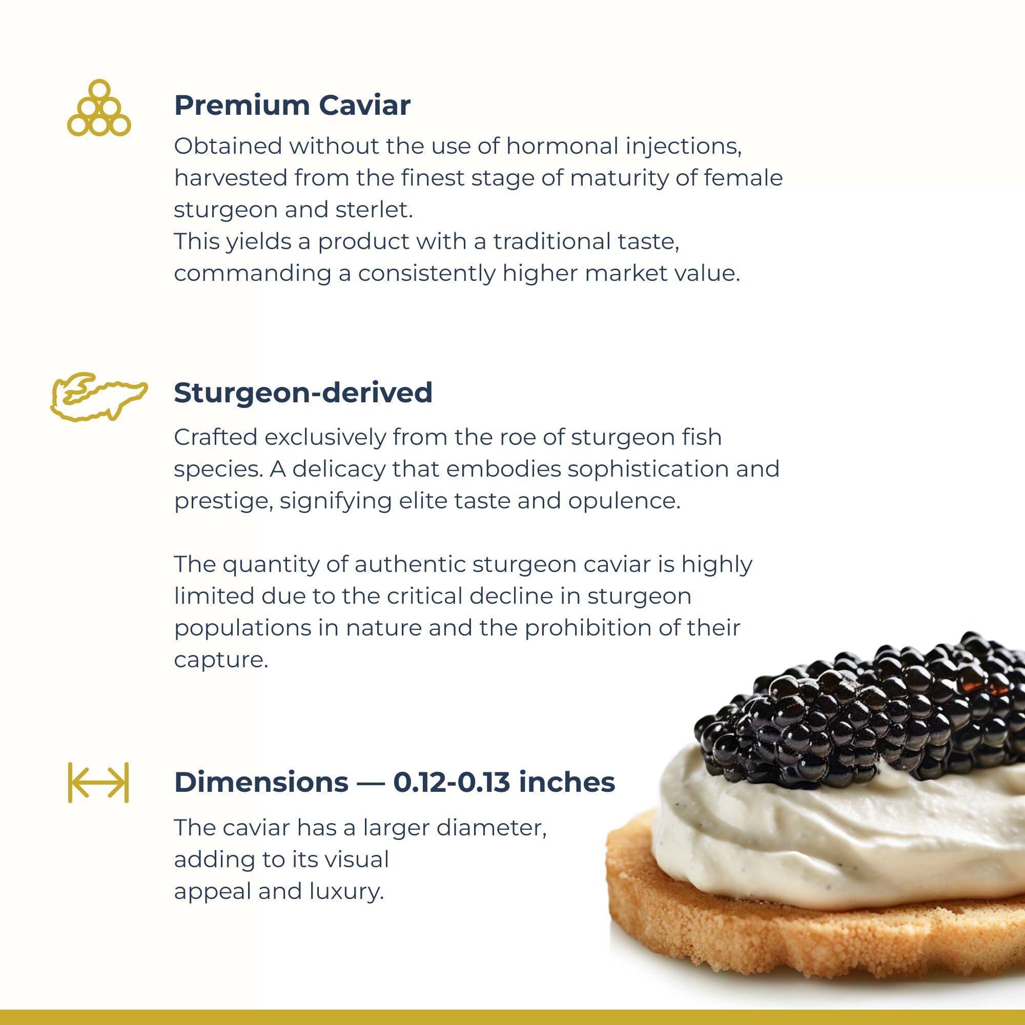 Premium TSAR CAVIAR Imperial Kaluga Fusion Caviar 8.8 oz (250G) - Fresh Black Sturgeon Caviar - Light-Salted Osetra Malossol Fish Roe - Gourmet Food Gift Box with Overnight Delivery - Perfect for Special Occasions, Luxury Gifts & Fine Dining Experiences