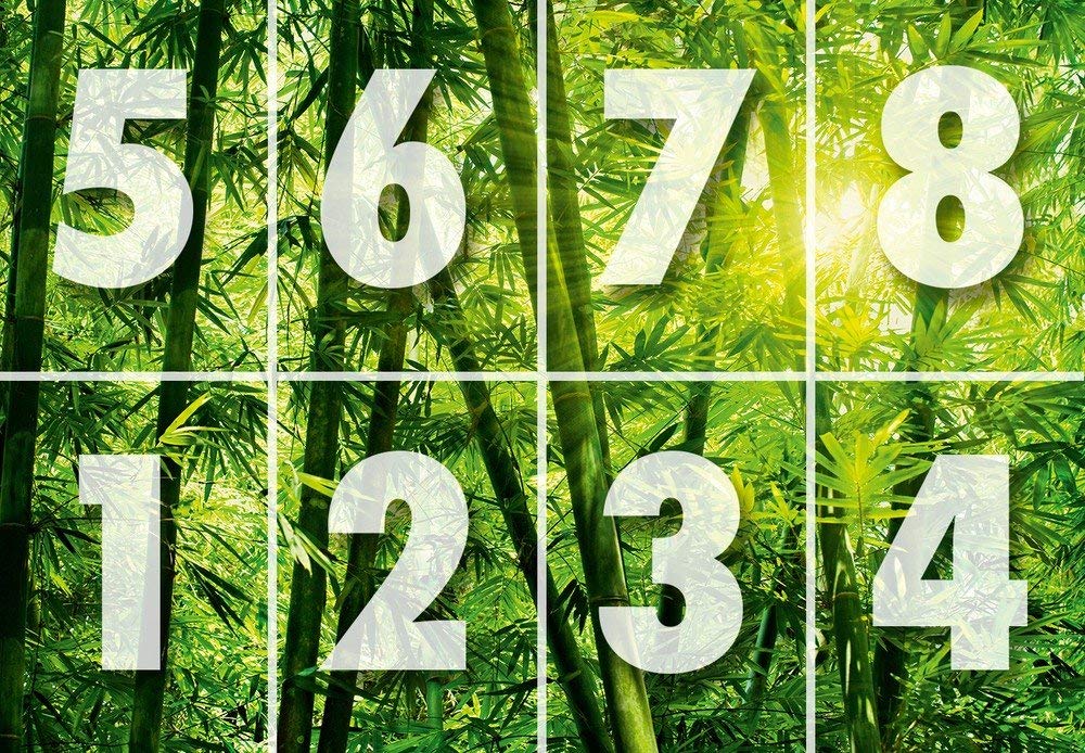 Bamboo Forest Wall Mural - Green Nature Décor for Home & Office