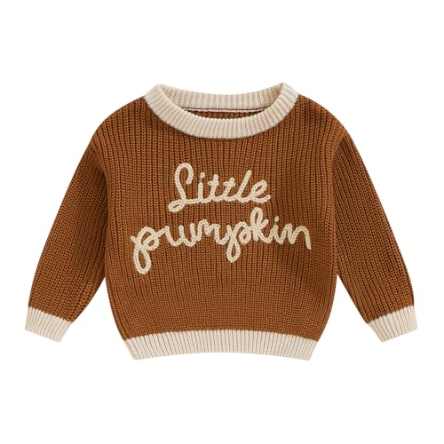 Chestnut Little Pumpkin