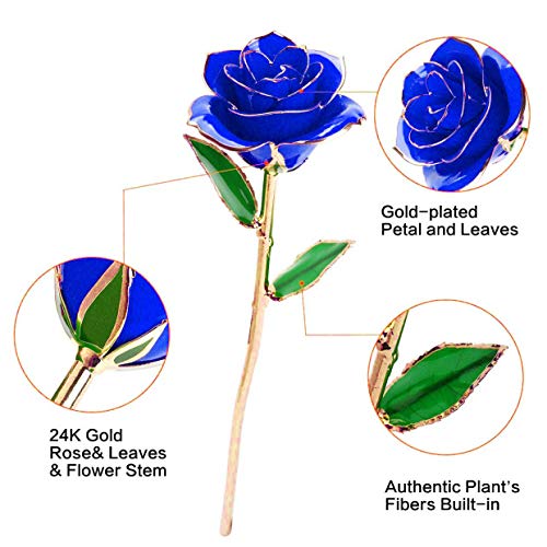 24K Gold Dipped Rose with Transparent Stand - Real Long Stem Eternal Rose Flower for Anniversary, Valentine's Day, Wedding, Mother's Day, Birthday - Perfect Gift for Her, Wife, Girlfriend, Mom - Elegant Home & Office Decor