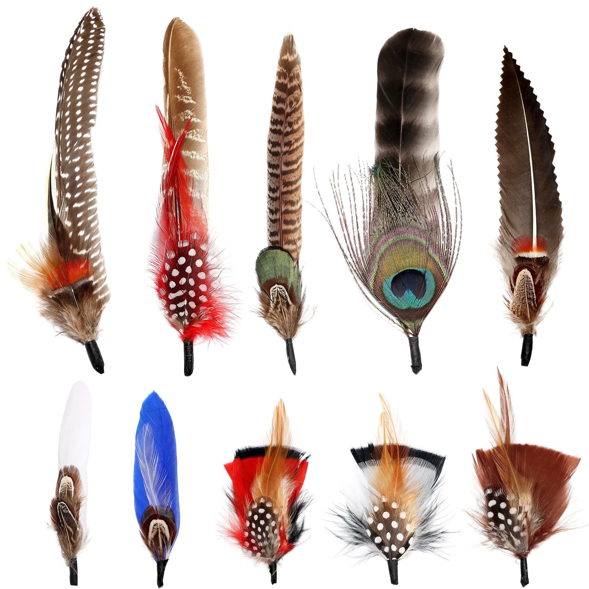 10 Styles Natural Feathers for Hats - DIY Fedora, Cowboy & Party Hat Accessories - Perfect for Western Costumes, Oktoberfest & Christmas Celebrations