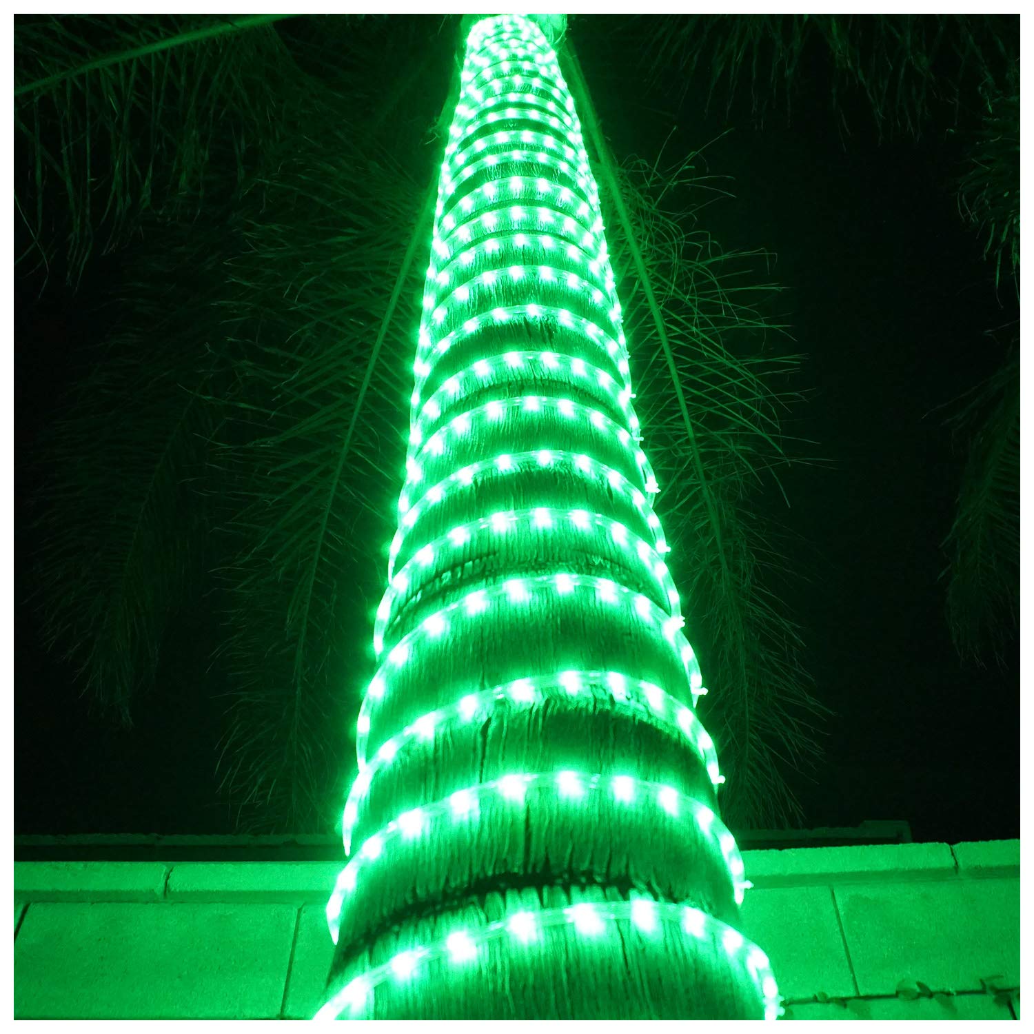 Russell Decor 200ft/60m LED Rope Lights - Waterproof Flexible String Tube Lights for Indoor & Outdoor Decor - Perfect for Saint Patrick's Day, Wedding, Backyard, Patio, Deck & Party Lighting (Green)