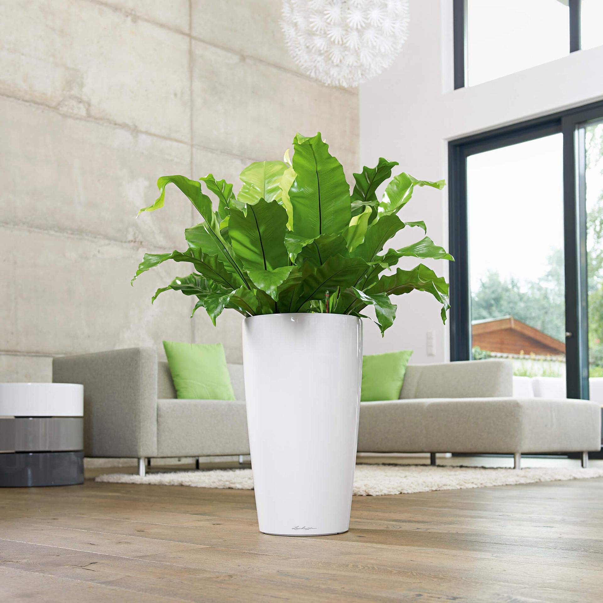 Lechuza Rondo 32 Self-Watering Planter - Large Indoor/Outdoor Garden Flower Pot with Drainage Hole & Plant Substrate - 32cm Poly Resin Floor Planter in Shiny Taupe - Perfect for Home, Office, Patio, and Balcony Decor