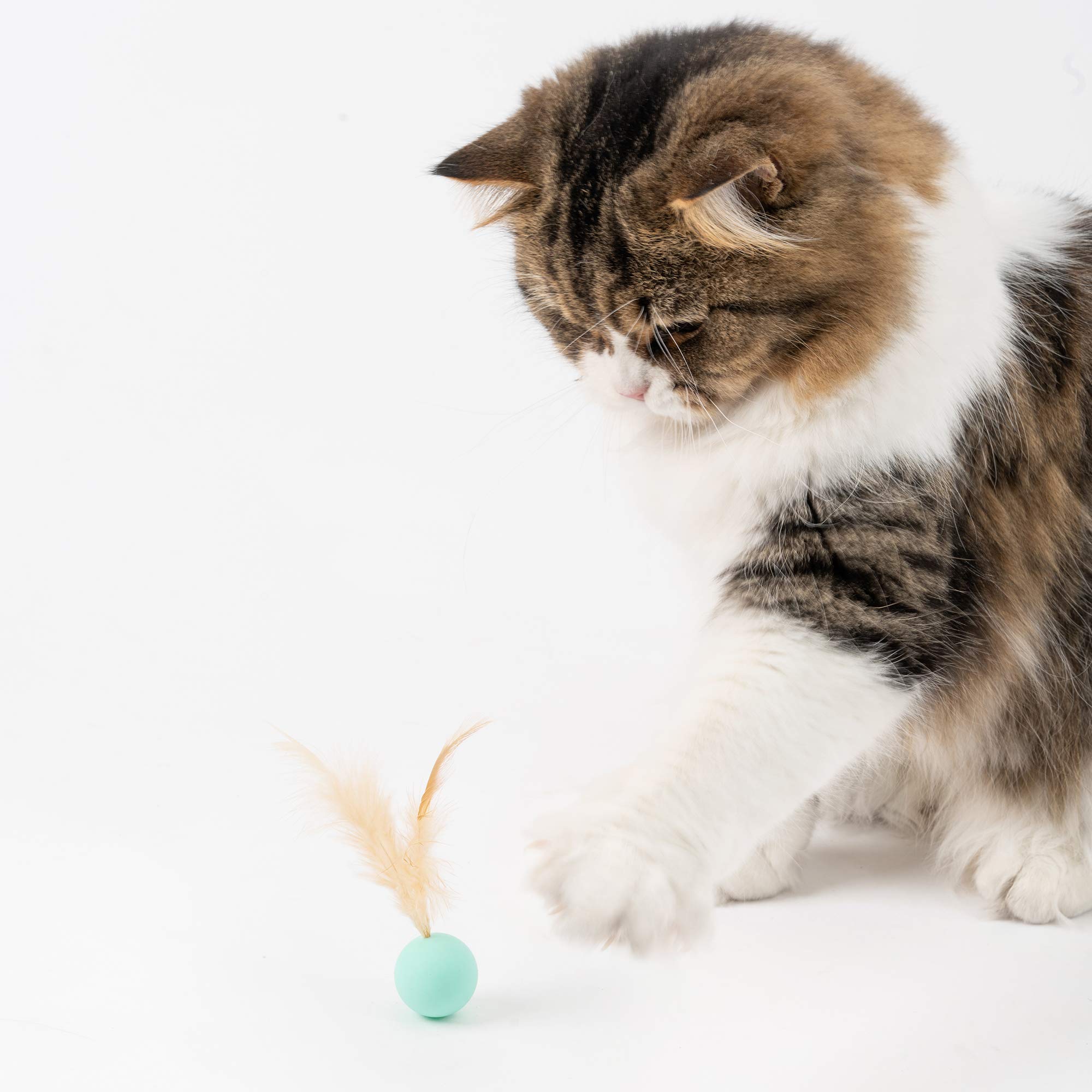 Pidan Interactive Cat Toys - 9PCS Feather & Silicone Ball Set for Indoor Cats - Stimulating Playtime for Kittens & Adult Cats - Perfect for Chasing, Bouncing & Hunting Games