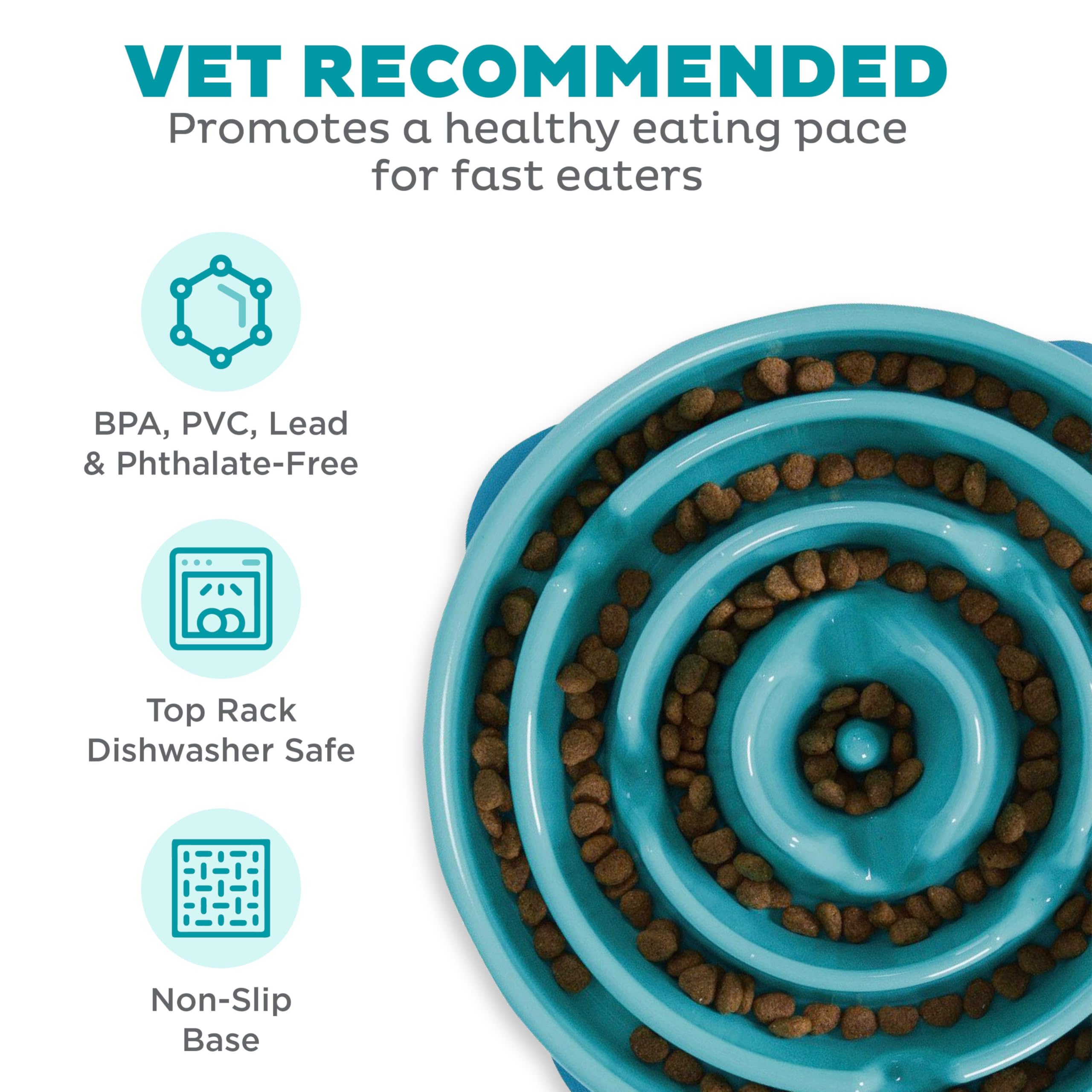 Outward Hound Fun Feeder Slo Bowl - Slow Feeder Dog Bowl for Large & Regular Dogs, Turquoise - Prevent Fast Eating & Bloat for Pets During Mealtime