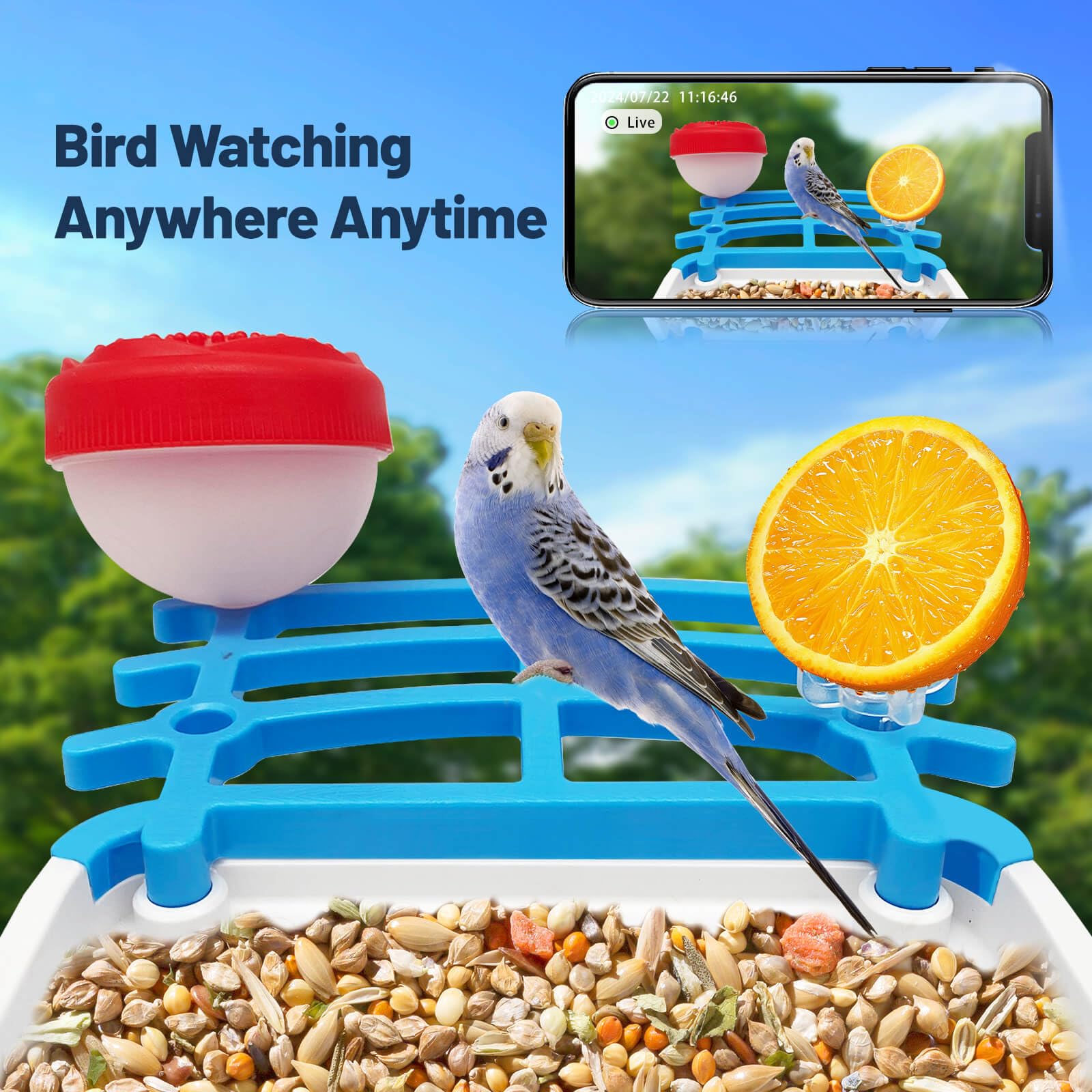 Smart Bird Feeder with Camera - 4K HD AI Bird Identification, Solar Powered, Auto Capture & Motion Detection - Perfect Gift for Bird Lovers, Grandma & Mom - Ideal for Backyard Birdwatching & Nature Enthusiasts