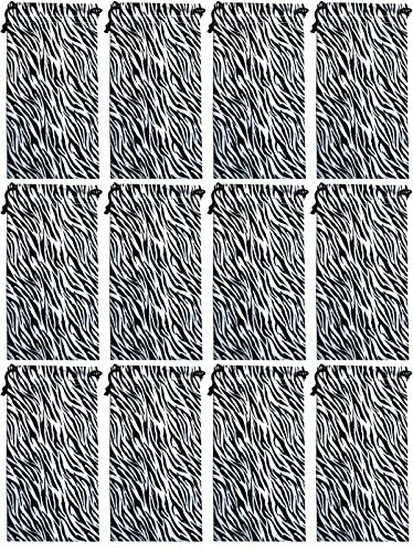 Zebra X 12