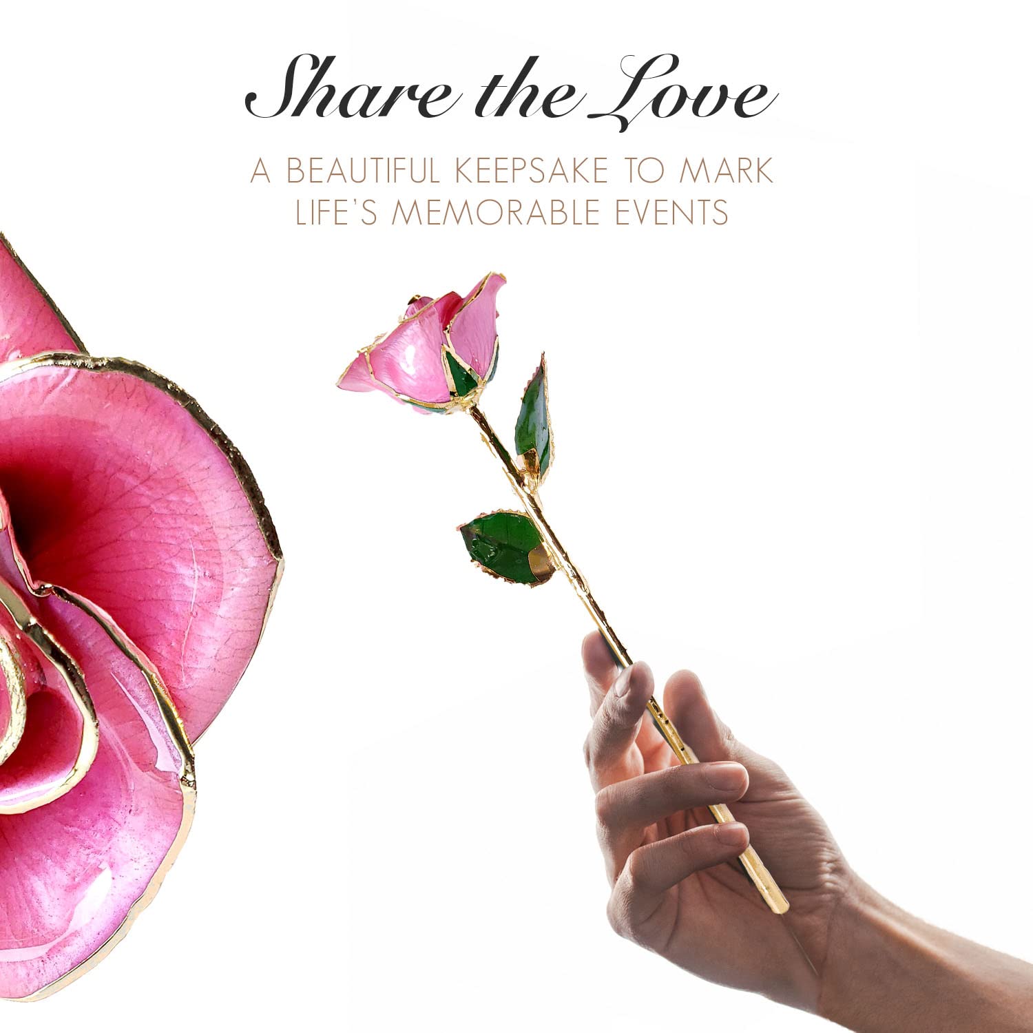 24K Gold Dipped Pink Rose - Forever Bloomed Preserved Flower with Certificate of Authenticity | Romantic Gift for Women, Anniversary, Valentine's Day & Home Decor
