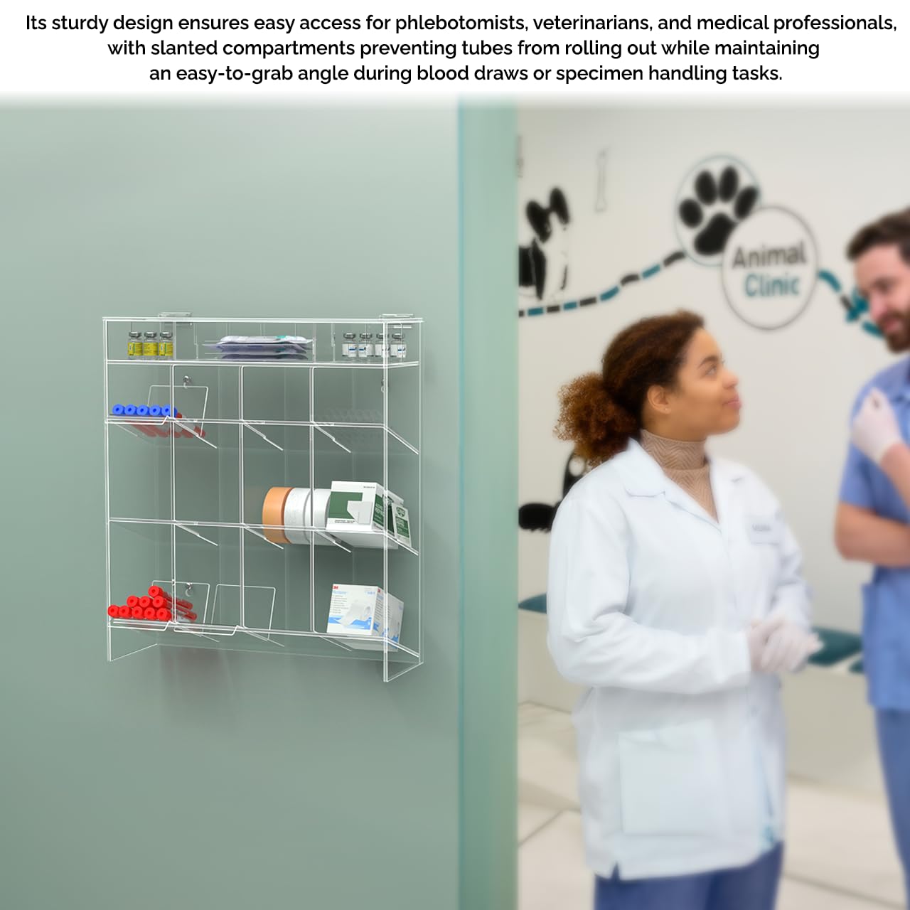 Clear Acrylic 12-Tube Wall Mount Rack - 15.37