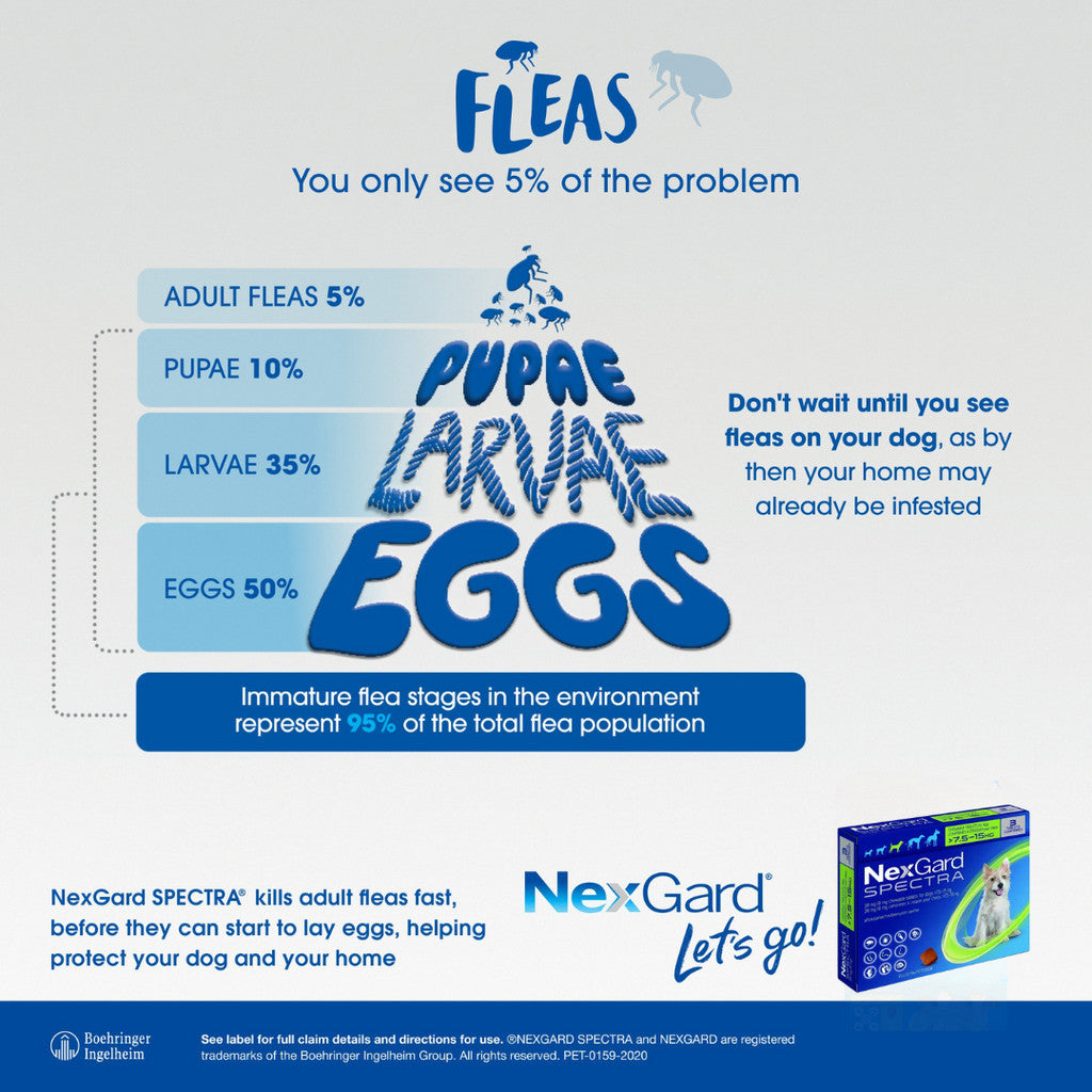 NexGard Spectra Chewable Tablets for Dogs - 3 Month Supply, Flea & Tick Prevention, Heartworm Protection - Beef Flavor for All Breed Sizes | Ideal for Outdoor Adventures & Home Protection