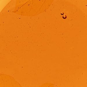 4. Pumpkin Pie