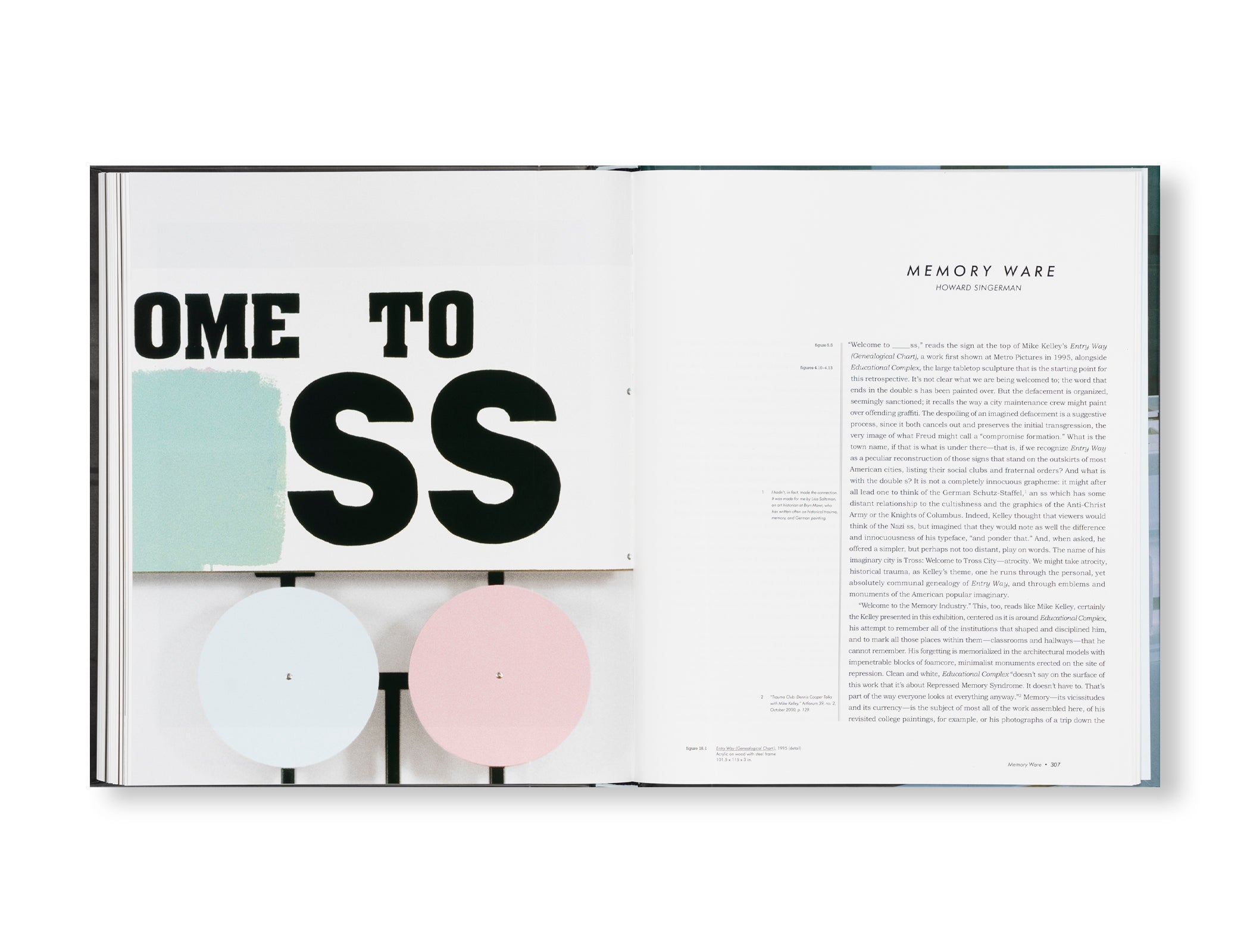 Educational Complex Onwards 1995-2008 by Mike Kelly - Art Book for Contemporary Art Collectors & Students - Perfect for Museum Visits & Academic Research