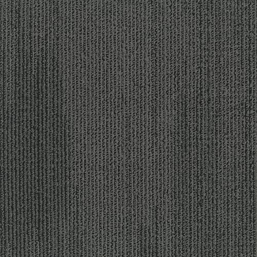 Black Bird