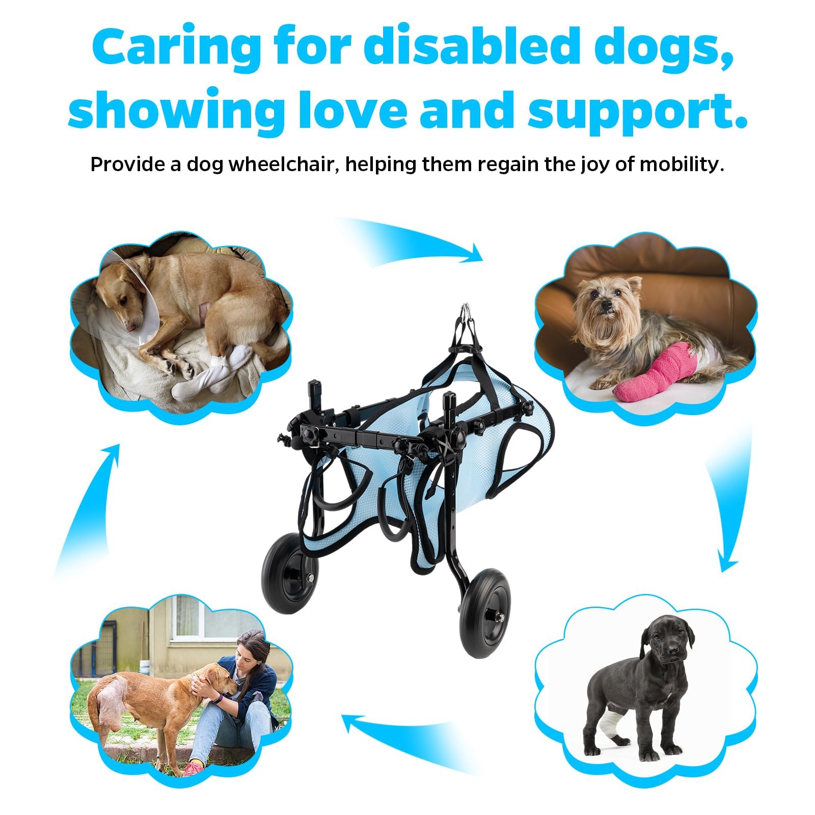 Dog Wheelchair for Back Legs - Lightweight Mobility Aid Cart for Small Dogs & Cats with Disabled Hind Legs - Adjustable Pet Wheelchair for Walking Assistance (Ideal for Post-Surgery Recovery & Daily Mobility Support)